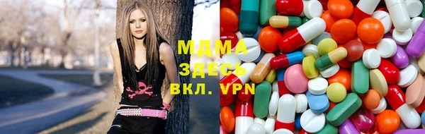 сатива Белокуриха