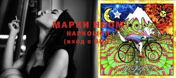 сатива Белокуриха