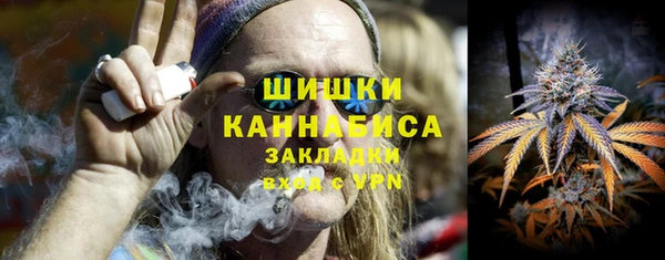 сатива Белокуриха