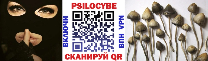 дарк нет состав  Мончегорск  Псилоцибиновые грибы GOLDEN TEACHER 